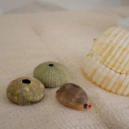 C A S A Di Sabrina Διαμέρισμα *