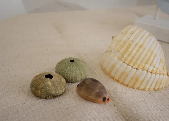 C A S A Di Sabrina Apartment *